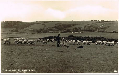 Downs at East Dean 1948